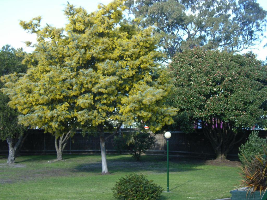Bairnsdale Main Motel Extérieur photo