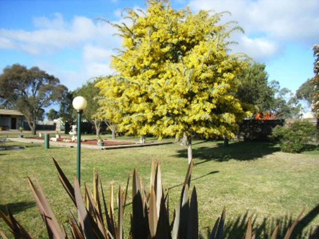 Bairnsdale Main Motel Extérieur photo